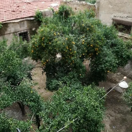 Amaranta 3* Palermo